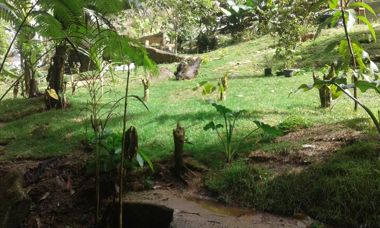 Pousada Aguas Da Mata Brejetuba Ngoại thất bức ảnh